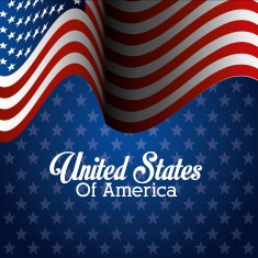 USA design vector illustration N22