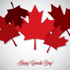 Overlay leaf Canada Day card in vector format N11