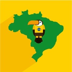 Brazil design N29