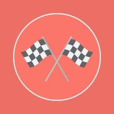 Racing Flag Icon N16
