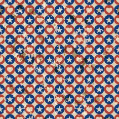 American vintage seamless pattern N5