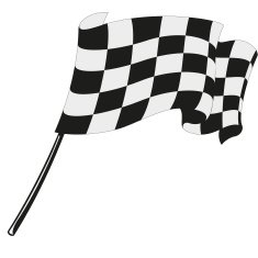 checkered flag racing N10