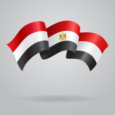 Egyptian waving Flag Vector illustration