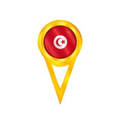 Tunisia pin flag