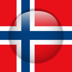 Norway Flag Glossy Button N2