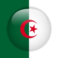 Algeria Flag Glossy Button N3