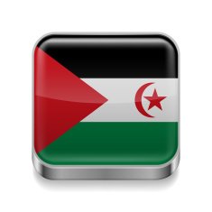 Metal icon of Sahrawi Arab Democratic Republic