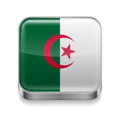 Metal icon of Algeria