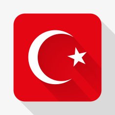Simple flat icon Turkey flag Vector