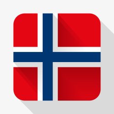 Simple flat icon Norway flag Vector