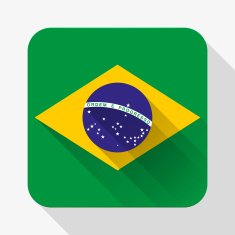 Simple flat icon Brazil flag Vector