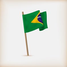 Realistic Flag Of Brazil Vector