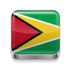 Metal icon of Guyana
