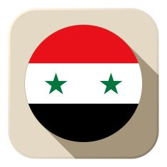 Syria Flag Button Icon Modern N2