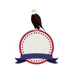 Usa Design N205
