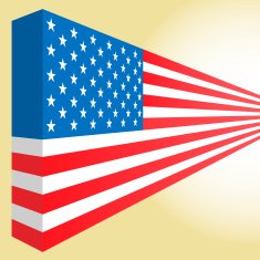 USA Flag N77