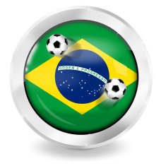 brasil icon button round fresh design