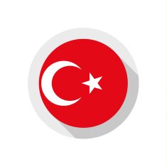 Flag of Turkey N22