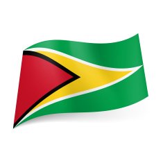 State flag of Guyana
