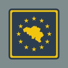 Belgium European Flag Button N2