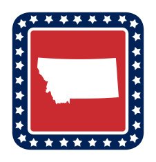Montana state button N2
