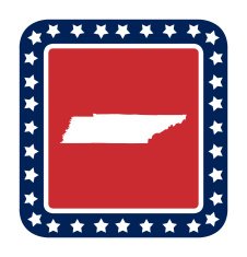 Tennessee state button N2