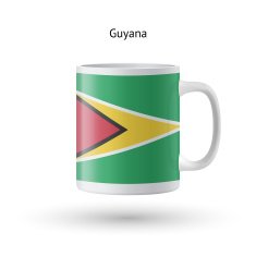 Guyana flag souvenir mug on white background N2