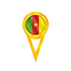 Cameroon pin flag