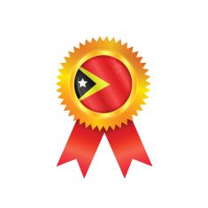 Timor medal flag