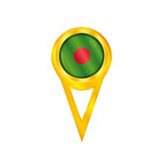 Bangladesh pin flag