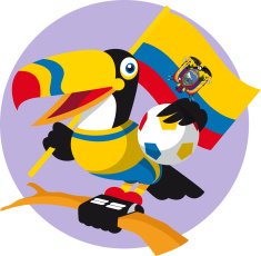 Colombia Toucan