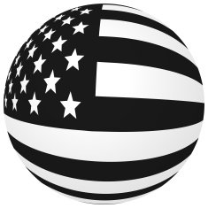 USA Flag N79