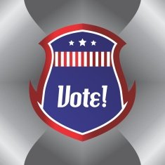 election vote shield N24