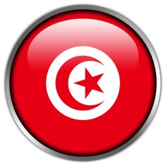 Tunisia Flag Glossy Button N2
