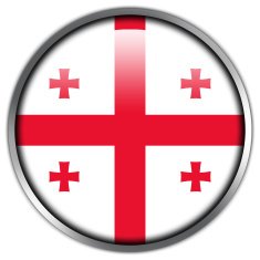 Georgia Flag glossy button