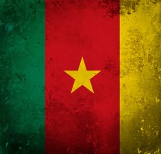 Grunge flag of Cameroon