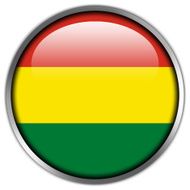 Bolivia Flag glossy button