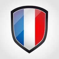 Shield with flag inside - France