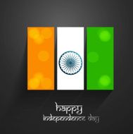 Tricolor flag icon Happy Independence day holiday illustration vector