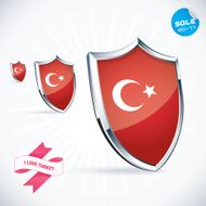 I Love Turkey Flag Illustration