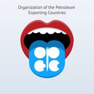 Organization of the Petroleum Exporting Countries flag language N2