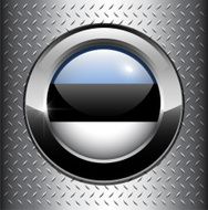 Estonia flag button N3