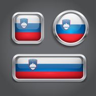Slovenia flag glass buttons