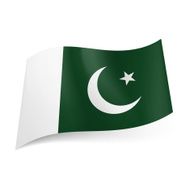 State flag of Pakistan