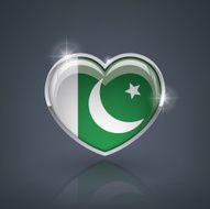Pakistan N6