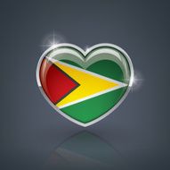 guyana N4