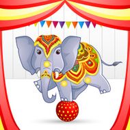 Elephant in Circus
