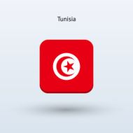 Tunisia Flag icon N6