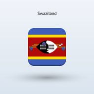 Swaziland flag icon N2