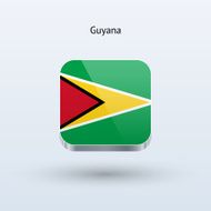 Guyana flag icon N2